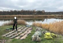 Наловили 230 кг риби: на Дніпропетровщині викрито браконьєрів