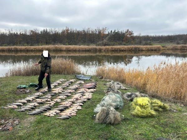 Наловили 230 кг риби: на Дніпропетровщині викрито браконьєрів