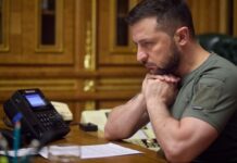 Зеленский попытается использовать давление США на РФ для прекращения войны — СМИ