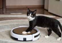 Почему выгодно купить робот-пылесос в интернет-магазине АЛЛО