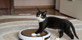 Почему выгодно купить робот-пылесос в интернет-магазине АЛЛО