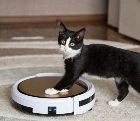 Почему выгодно купить робот-пылесос в интернет-магазине АЛЛО