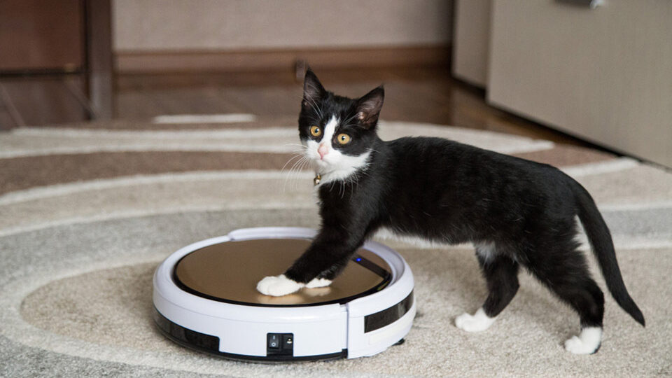 Почему выгодно купить робот-пылесос в интернет-магазине АЛЛО