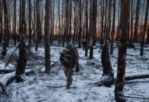 Россияне накапливаются в Серебрянском лесу и пытаются обойти Дроновку