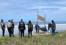 На популярном туристическом пляже нашли пять отсеченных голов