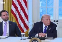 Ловушка 25-й поправки: историк предупредил о «страшном преемнике» в Белом доме