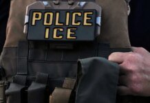 В Миннеаполисе агенты ICE снова убили гражданина США: разворачивается кризис общества и власти. ВИДЕО