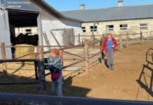 На Дніпропетровщині групу мешканців підозрюють у трудовій експлуатації