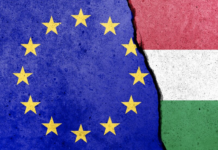 Шпионский скандал в Брюсселе: Еврокомиссия начала расследование деятельности венгерской сети