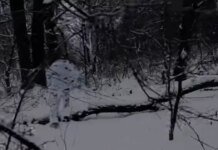 Легион «Свобода России» тихо зашел на 7 км в тыл оккупантов и наделал шума. ВИДЕО