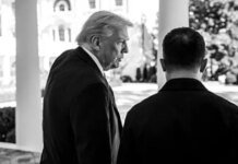 Зеленский назвал прекращение войны в Украине главным политическим трофеем Трампа