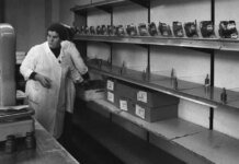 Билет в один конец: почему нынешний кризис в РФ называют «отложенным крахом» Союза