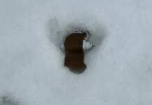 В Херсоне мужчина подорвался на российской мине «лепесток»