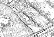 Суд розглядатиме позов проти рішення Дніпровської міськради про зелену зону