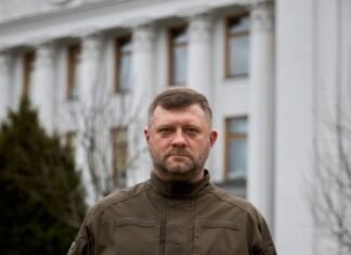 Первый вице-спикер Рады: Россия будет использовать третьи страны для вмешательства в украинские выборы