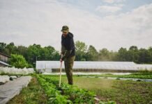 Канада инвестирует около €13,2 млн в развитие украинских фермеров.