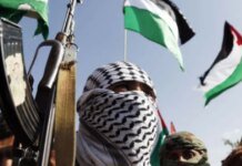 Под прицелом Берлин: почему иранские «спящие ячейки» стали главной кошмаром Европы