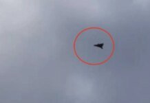 Fox News выдал украинский дрон-перехватчик за новейшее оружие США в Иране. ВИДЕО