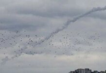 В ближайшие 72 часа: Кремль готовит «акцию мести» за недавние прилеты по Москве