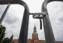 Цифровой суицид: путинистка Латынина предрекла экономике РФ «черных лебедей»