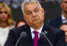 Грязные игры Орбана: как 19-летнего айтишника превратили в «украинского шпиона», чтобы ударить по оппозиции