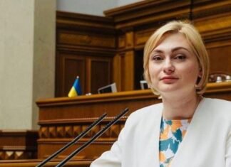 Рада до конца года должна имплементировать положения EMFA — заместитель главы профильного комитета Кравчук