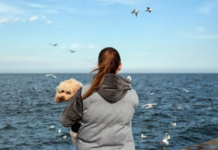 Последний шанс насладиться теплом: синоптик Диденко назвала дату резкого похолодания