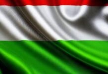 Нынешнее правительство Венгрии разжигает антиукраинские настроения в венгерском обществе – Зеленский