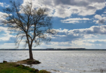 Ночные заморозки возвращаются: Диденко предупредила, какие области «накроет» первыми