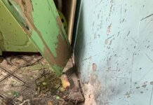 В Житомире взорвалась граната в многоэтажном доме