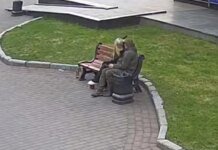 В Луцке малолетняя «героиня» едва не убила пассажиров троллейбуса ради хайпа: подробности. ВИДЕО