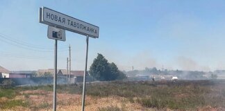 Свои хуже чужих: кадыровцы жестко мародерят и избивают жителей Белгородской области