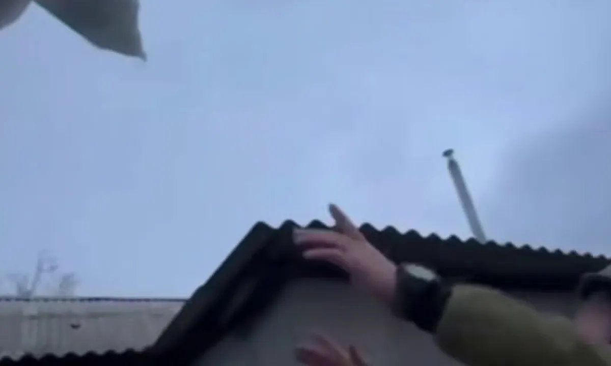 Вкусности с неба: пограничники доставляют бойцам еду с помощью дронов. ВИДЕО