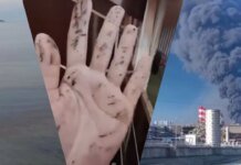 Нефтяное пятно от Туапсе ползет в сторону дворца Путина в Геленджике. ВИДЕО
