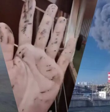 Нефтяное пятно от Туапсе ползет в сторону дворца Путина в Геленджике. ВИДЕО