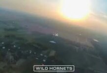 Экипаж «Рубин» сбил реактивный «Шахед» с помощью перехватчиков STING. ВИДЕО