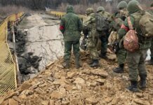 Охота в «зеленке»: оккупанты через лес рвутся к границам Днепропетровщины