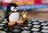 «Более 3,3 млн загрузок»: только что обновился Linux-альтернативный вариант Windows 11