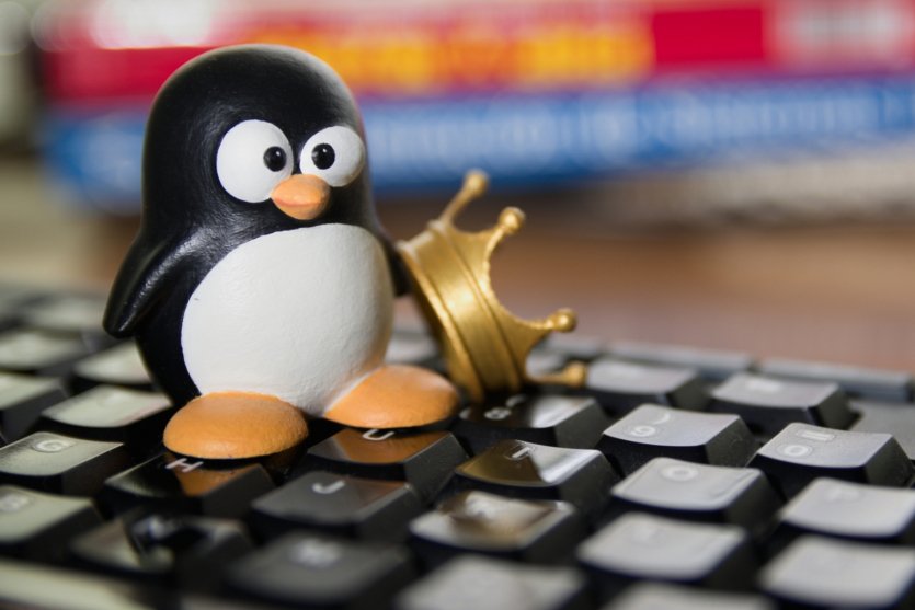 «Более 3,3 млн загрузок»: только что обновился Linux-альтернативный вариант Windows 11