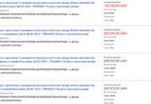 ФОПу-початківцю з Дніпра заплатять 549,8 тис. грн за проведення освітнього фестивалю