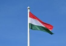 Трамп и Вэнс не вмешиваются в выборы в Венгрии – посол США в ЕС