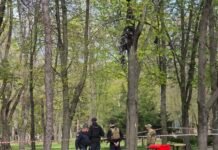 У Дніпрі збили «Шахед» в середмісті