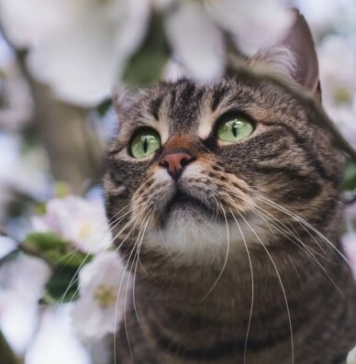 Мокрый снег, штормовой ветер и заморозки: какой погоды ждать украинцам перед Пасхой