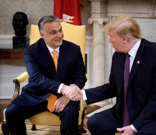 «Трамп — это риск»: европейские союзники США в панике из-за провала Орбана