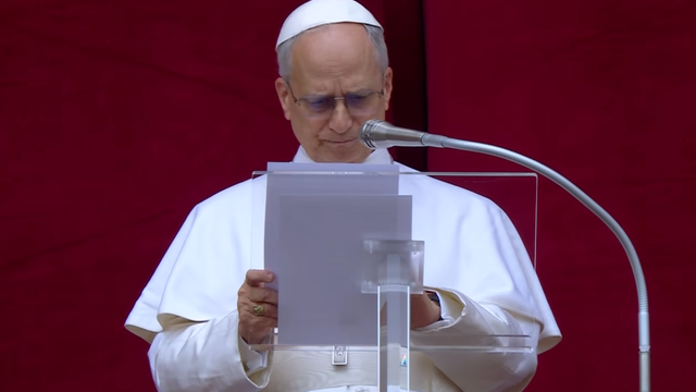 Папа Римский: Меня глубоко огорчает недавнее обострение атак против Украины