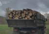 Пів року валили ліс без дозволів і продавали деревину — чотирьох «чорних лісорубів» затримали на Дніпропетровщині