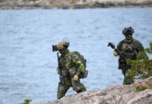 Без шансов для Запада: украинские пилоты дронов разнесли в щепки шведские войска