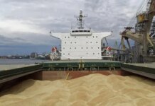 Мир брезгует мародерством: еще одна страна отказалась разгружать российское судно с краденым украинским зерном