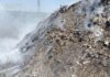 Пожар на мусорном полигоне обошёлся природе в 8 миллионов — директора предприятия отдали под суд