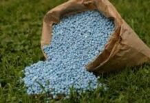 США хотят, чтобы Украина помогла смягчить ограничения по белорусским удобрениям – СМИ